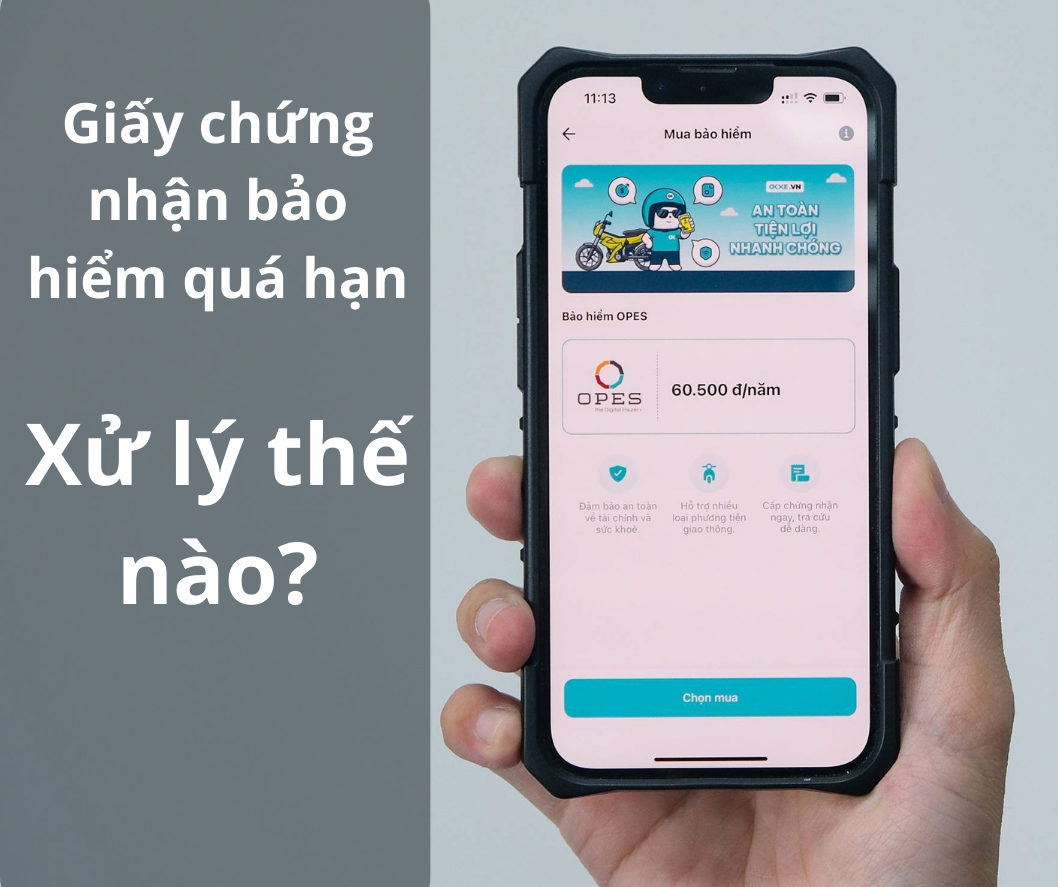 Giấy chứng nhận bảo hiểm bắt buộc quá hạn mất một ngày xử lý được không?