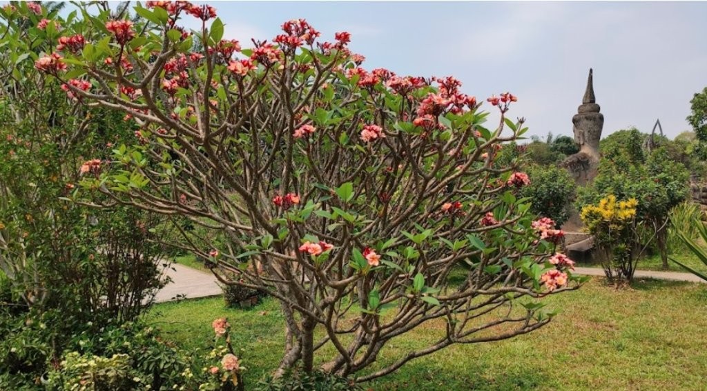 Ofer kể chuyện du lịch Lào bằng xe ô tô nhân dịp Tết Nguyên đán (2) Ofer kể chuyện du lịch Lào bằng xe ô tô nhân dịp Tết Nguyên đán (2)