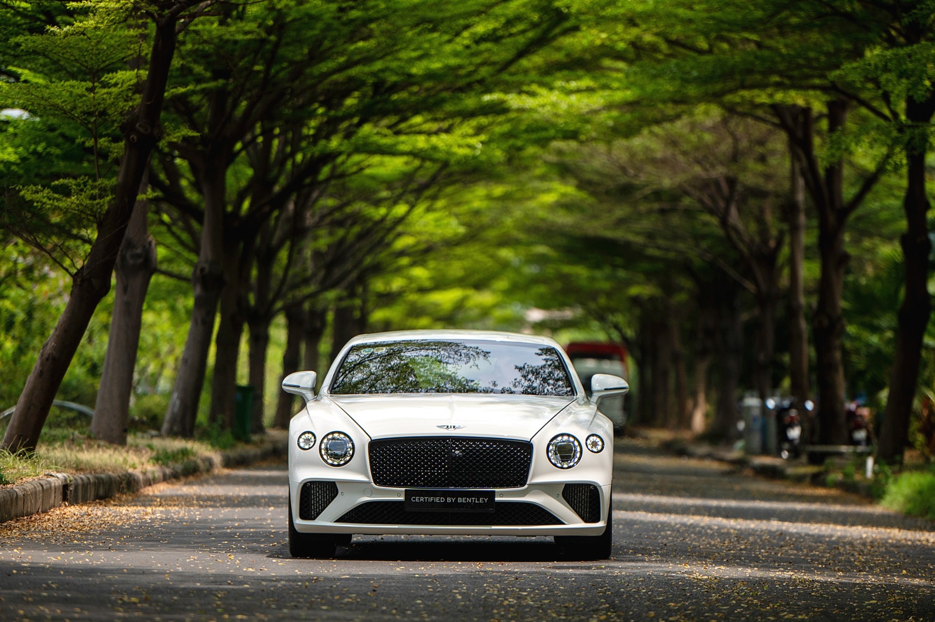 Bentley ra mắt dịch vụ kinh doanh xe đã qua sử dụng tại Việt Nam