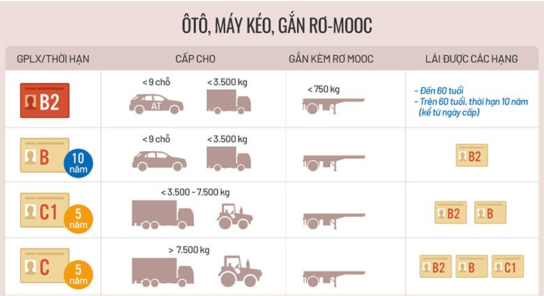 Phân loại bằng lái xe theo quy định năm 2024.