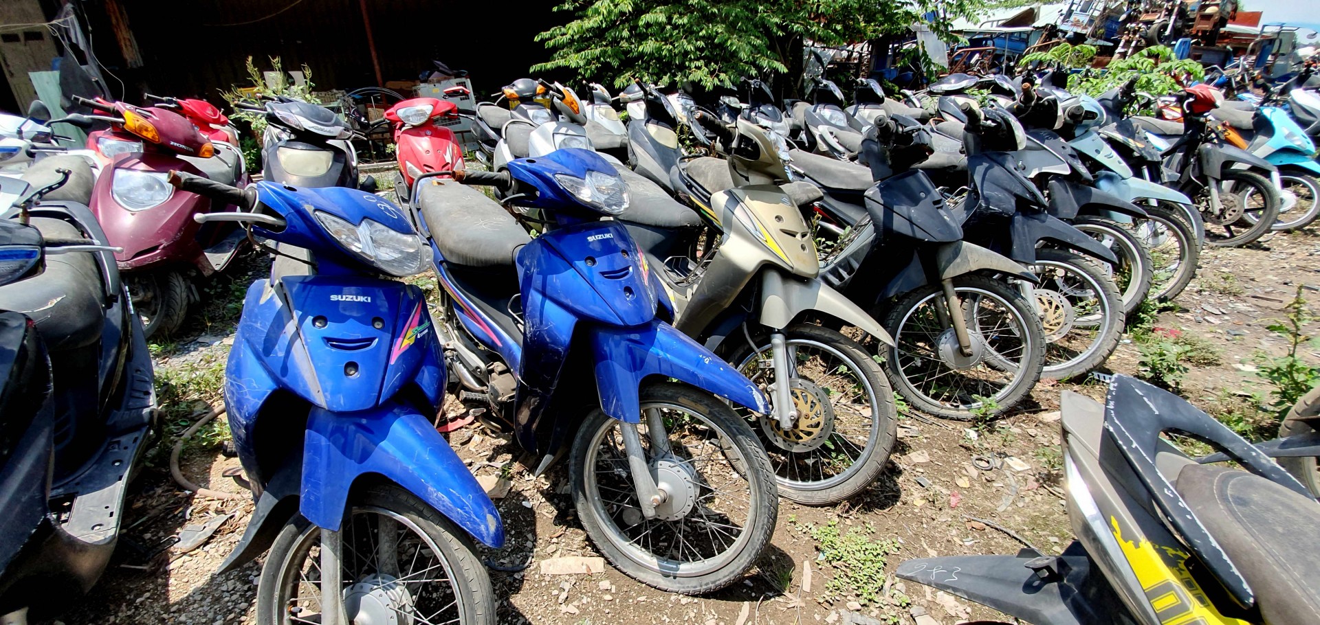 Xe thanh lý Hải quan mua ở đâu?