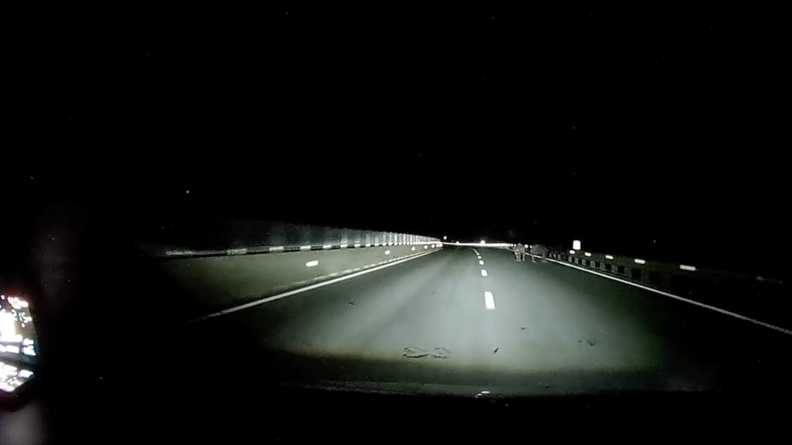 Nhức nhối tình trạng trâu bò xuất hiện vào ban đêm trên cao tốc Hàm Nghi - Vũng Áng