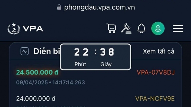 Trang web đấu giá biển số xe ô tô VPA thông báo "lịch đấu giá biển số xe ô tô 2025"