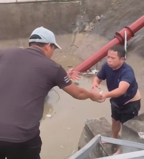 Thót tim khoảnh khắc tài xế thoát ra khỏi chiếc ô tô chìm nghỉm ở trạm bơm Thót tim khoảnh khắc tài xế thoát ra khỏi chiếc ô tô chìm nghỉm ở trạm bơm