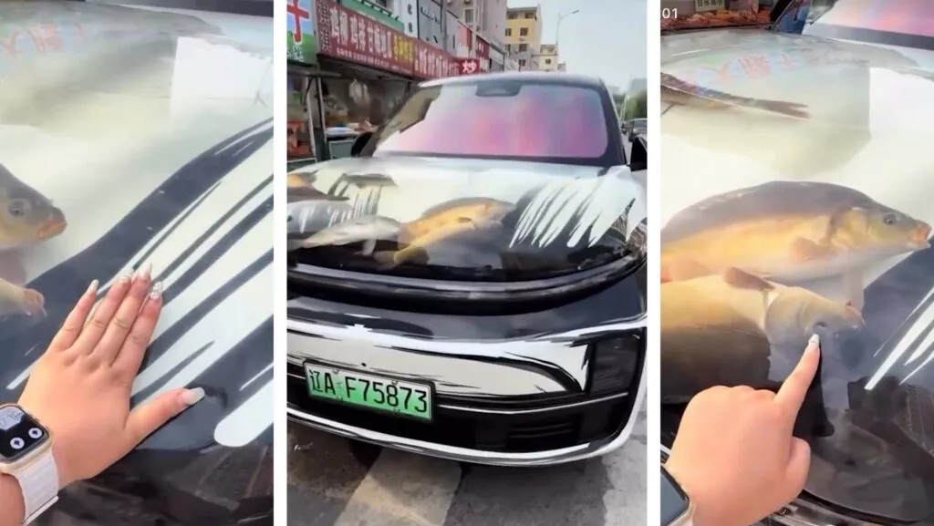 Biến nắp ca-pô thành "bể cá", chủ xe nhận gạch đá từ mạng xã hội