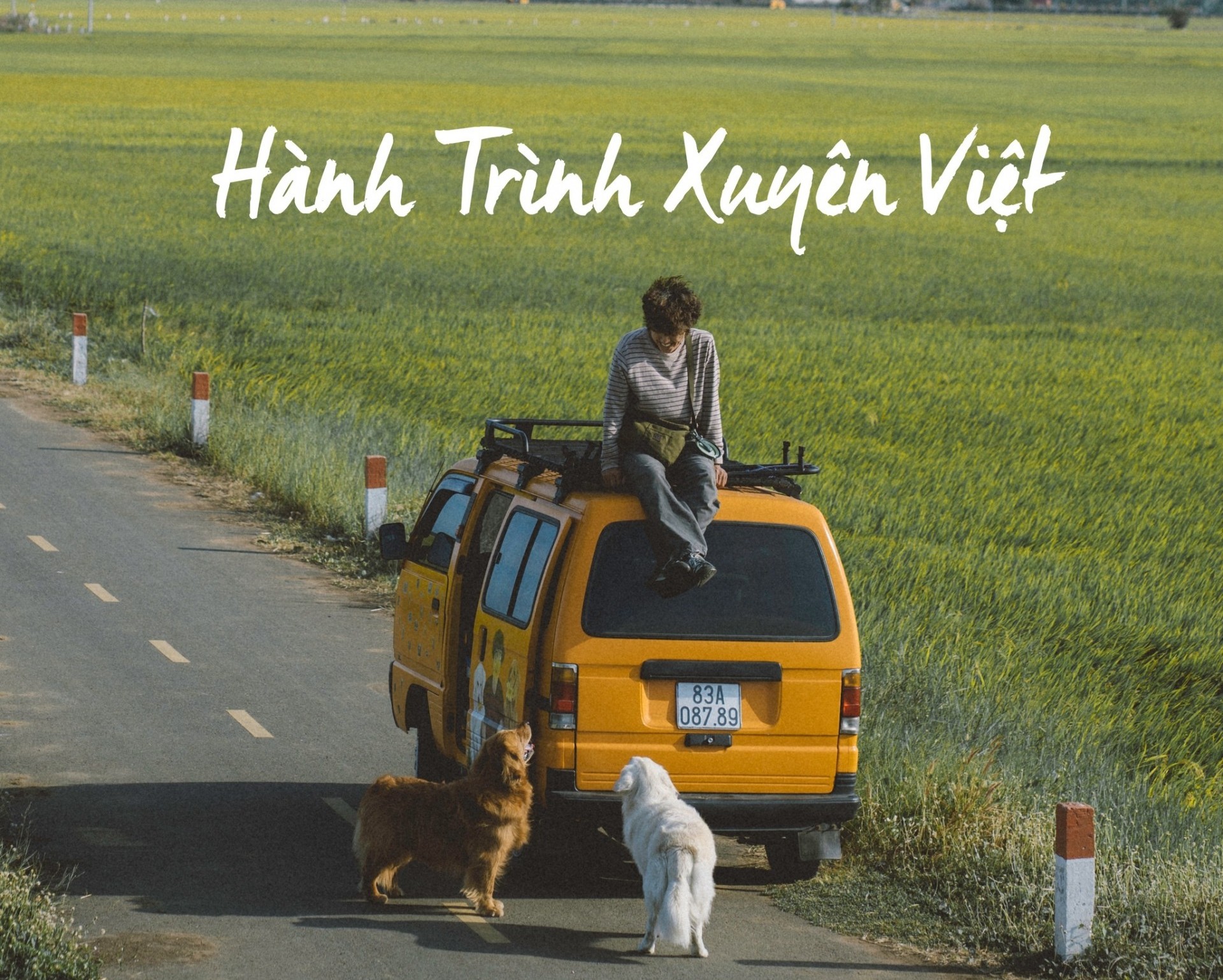 Chàng trai miền Tây đóng quán cafe, quyết định lái xe van xuyên Việt cùng thú cưng