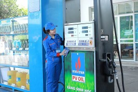 Xăng E10 là gì? Xăng E10 và xăng RON 95 khác nhau như thế nào?