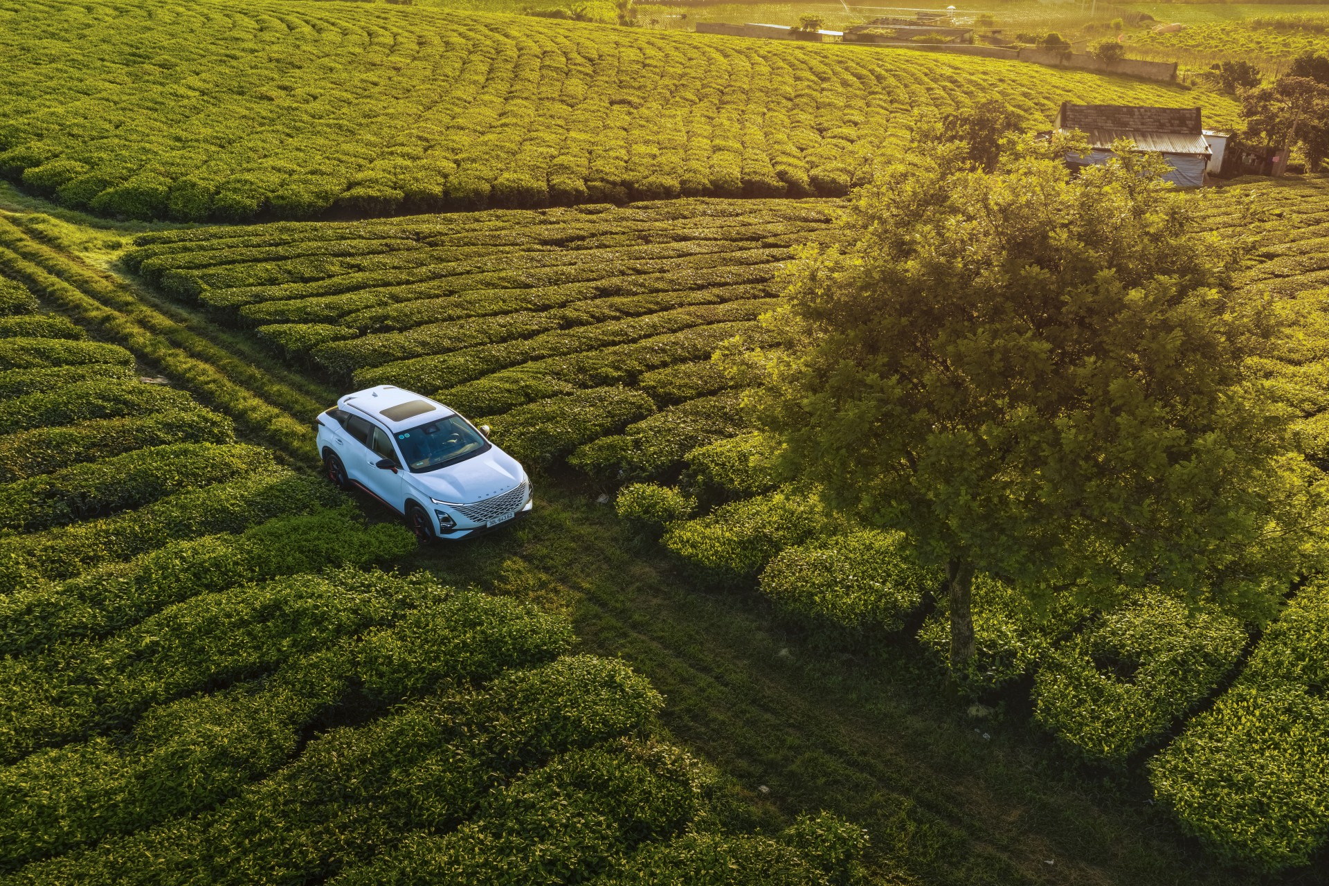 Omoda C5 mở bán