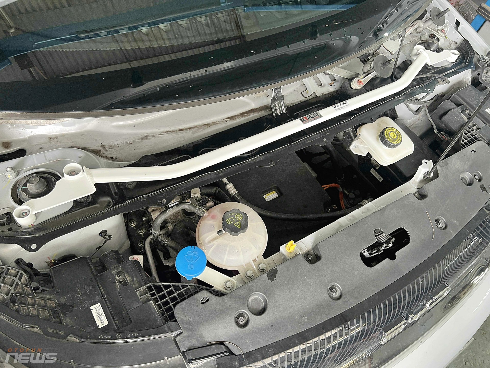 Ngắm BYD Dolphin nâng cấp đặc biệt của nhà vô địch PVOIL VGC Miền Nam 2025