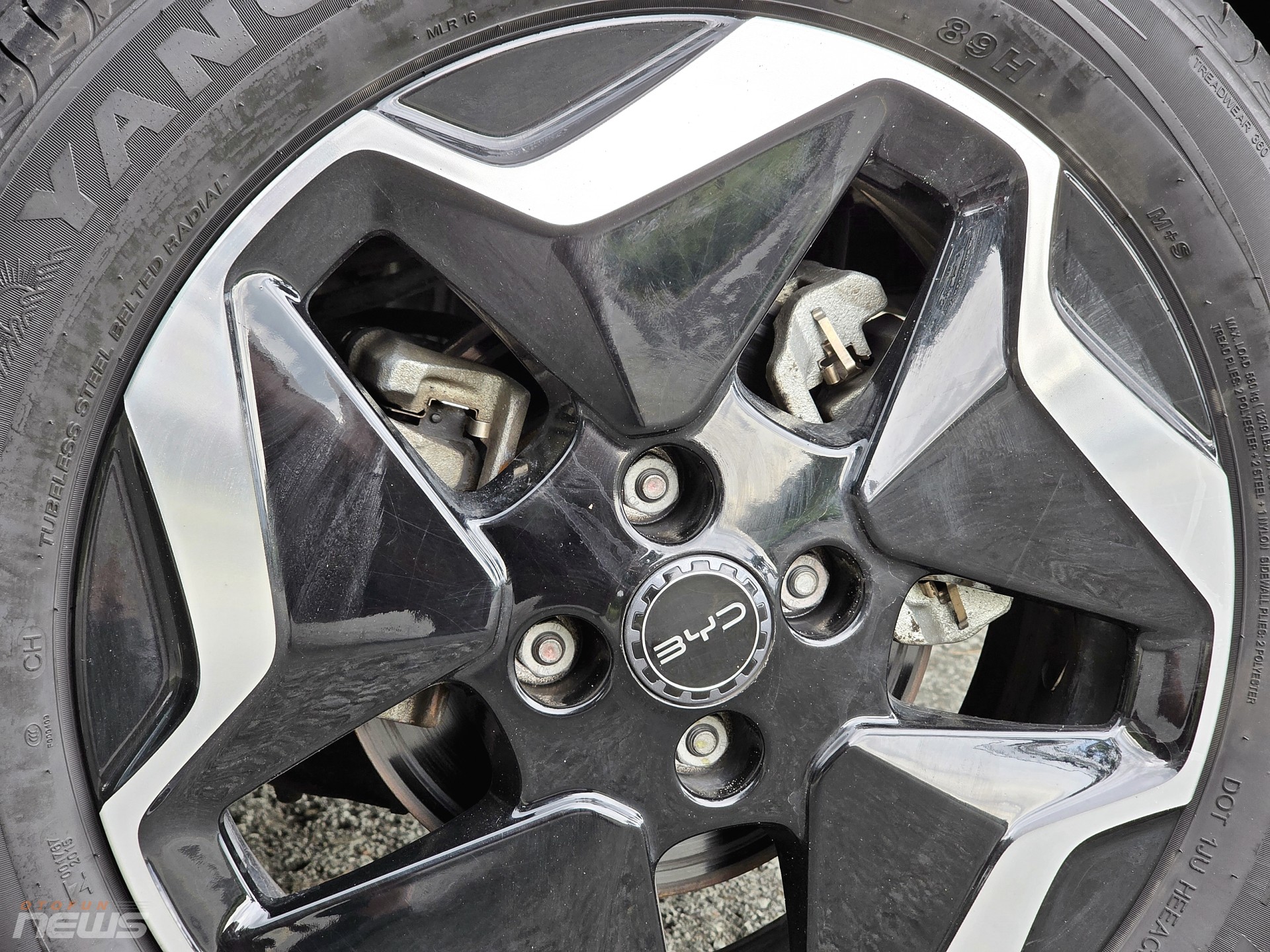 Ngắm BYD Dolphin nâng cấp đặc biệt của nhà vô địch PVOIL VGC Miền Nam 2025