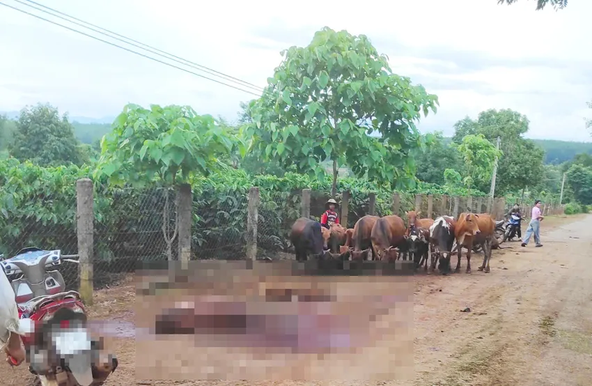 Tổng hợp tin tức tai nạn giao thông ngày 22/8/2025 Tổng hợp tin tức tai nạn giao thông ngày 22/8/2025