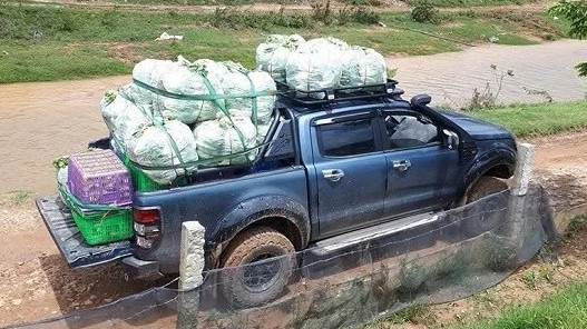 Chọn xe bán tải vì ngầu - sai lầm phổ biến của người Việt