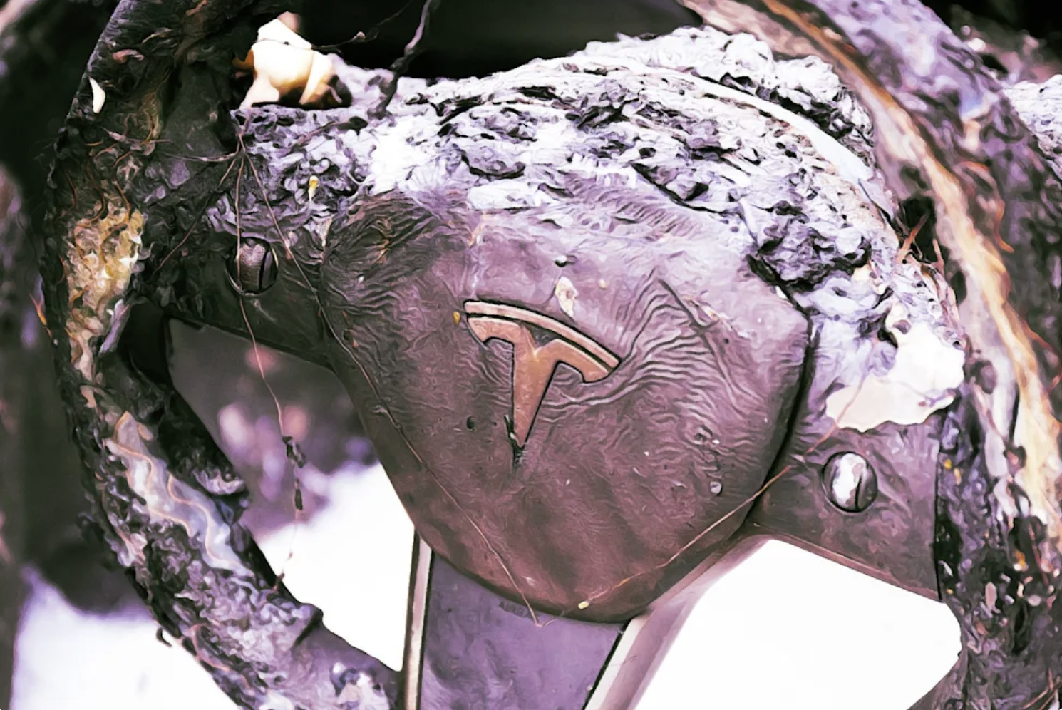 Xe điện Tesla cháy sau tai nạn, một người đàn ông và hai đứa trẻ thiệt mạng