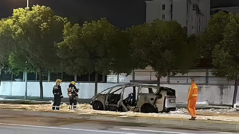 Nguyên nhân gây cháy được nghi ngờ là do bộ pin Qilin ternary NMC của CATL