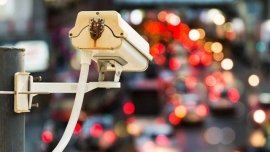 Đề xuất sửa đổi Quyết định 01/2026 gỡ rối cho cả các phương tiện này, bên cạnh xe bán tải