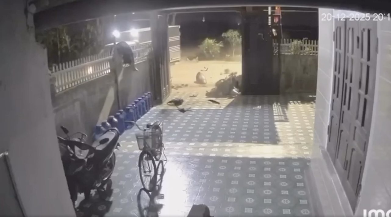 Xe máy kẹp ba tông xe tải, một người văng lên hàng rào nhọn