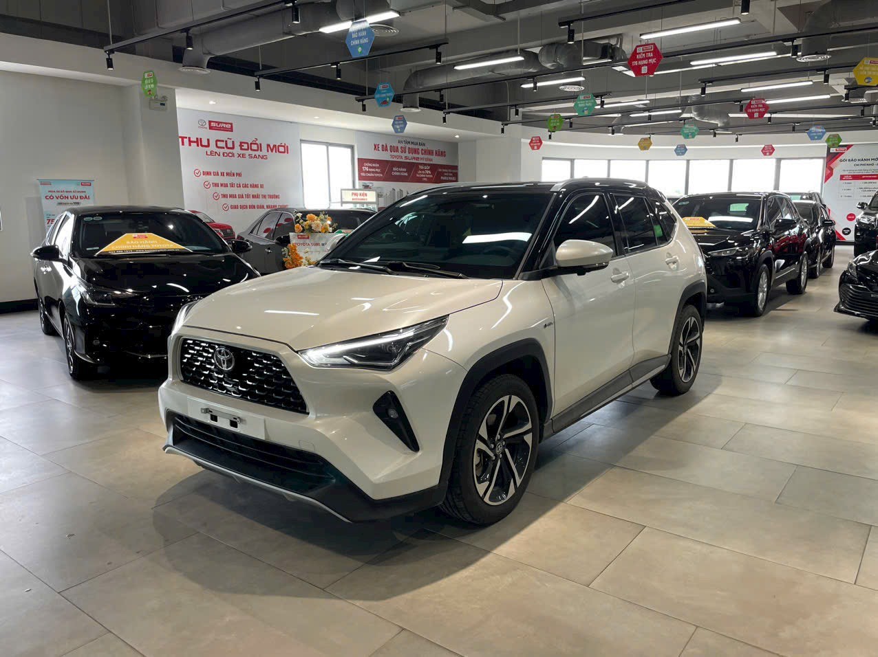 Giảm thuế tiêu thụ đặc biệt xe hybrid từ 2026 Giảm thuế tiêu thụ đặc biệt xe hybrid từ 2026