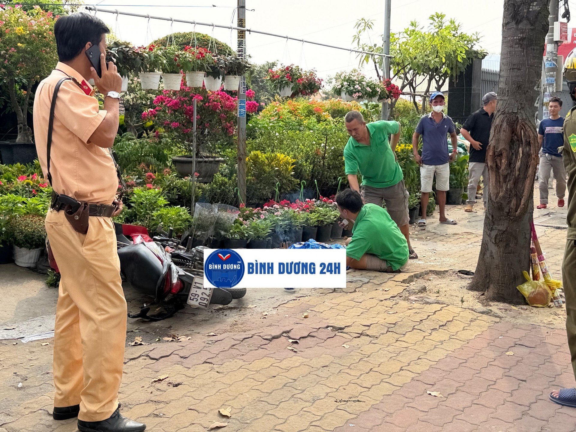 Tổng hợp tin tức tai nạn giao thông mới nhất ngày hôm nay 30/1/2026