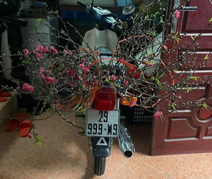 Honda Cub 82 biển 3 số 9, trả 150 triệu chủ không bán