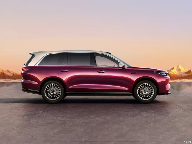 Phía bên của GWM Wey V9X