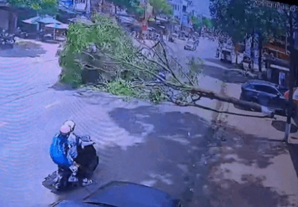 Tổng hợp tin tức tai nạn giao thông mới nhất ngày hôm nay 11/3/2026