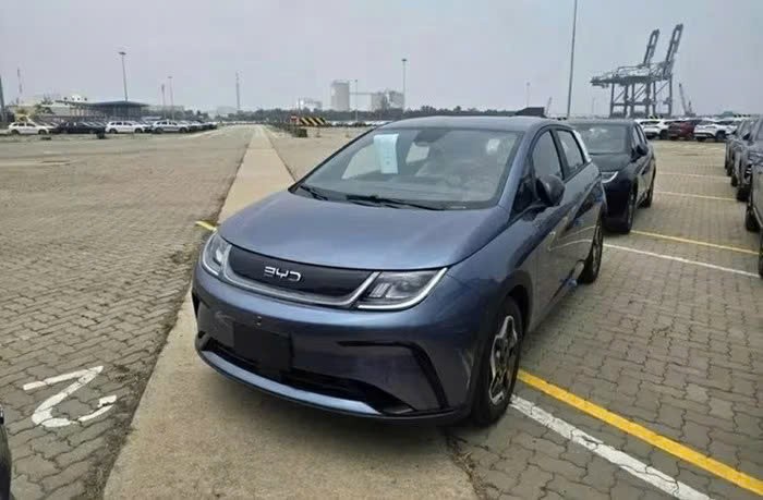 BYD Dolphin 2026 cập cảng Việt Nam, giá dự kiến dưới 600 triệu đồng