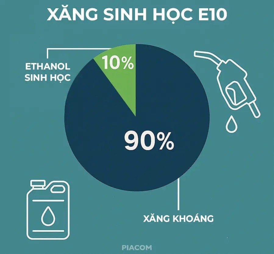 Chất phụ gia xăng E10 là gì? Liqui Moly E10 Additive có thực sự cần thiết?
