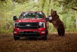 Ford thuê chú gấu nặng 360 kg "đột nhập" F-150 để trình diễn công nghệ chống trộm mới