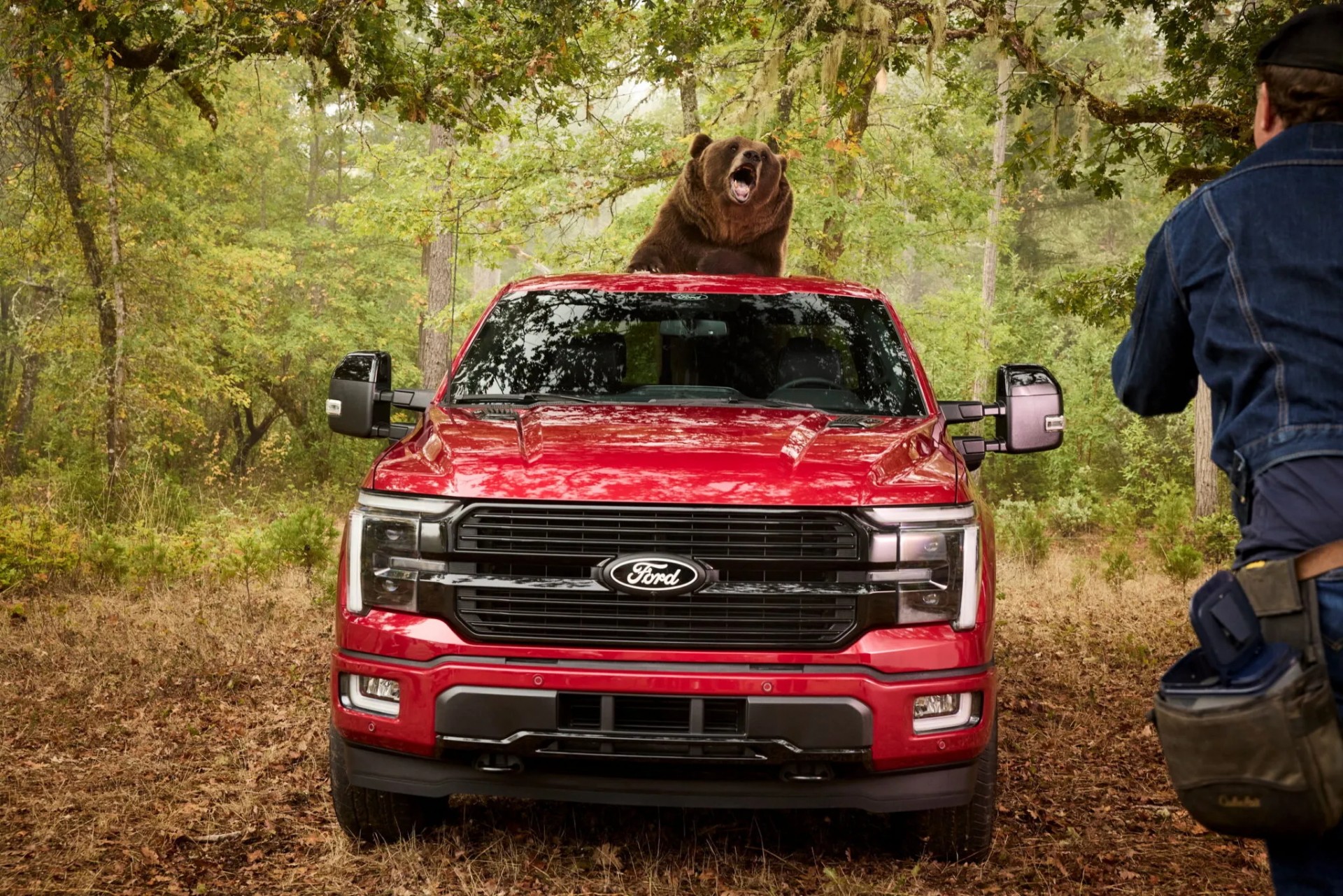 Ford thuê chú gấu nặng 360 kg 