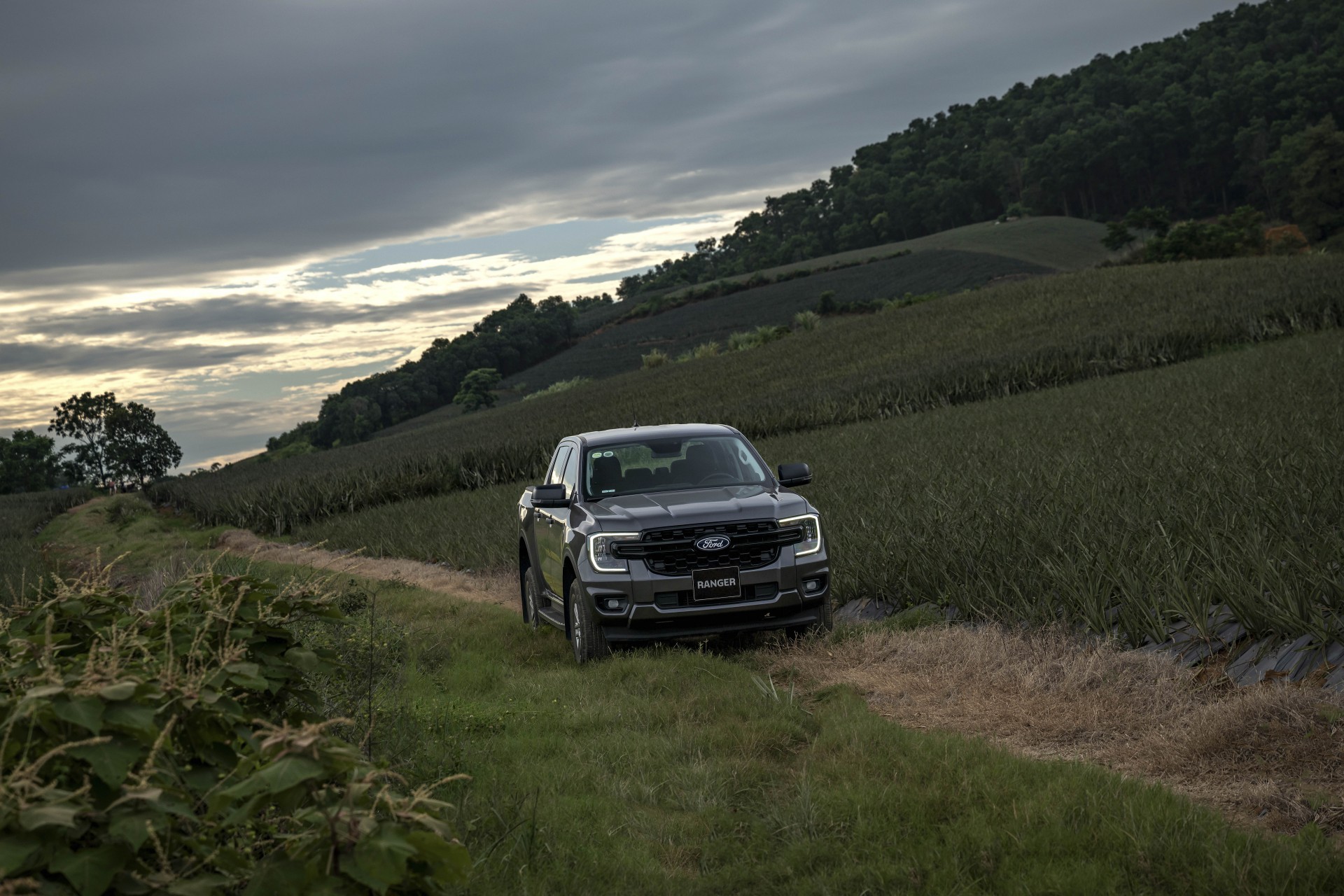 Ford Việt Nam ‘nâng tầm’ dải sản phẩm bán tải Ranger, giá bán lẻ từ 707 triệu đồng Ford Việt Nam ‘nâng tầm’ dải sản phẩm bán tải Ranger, giá bán lẻ từ 707 triệu đồng