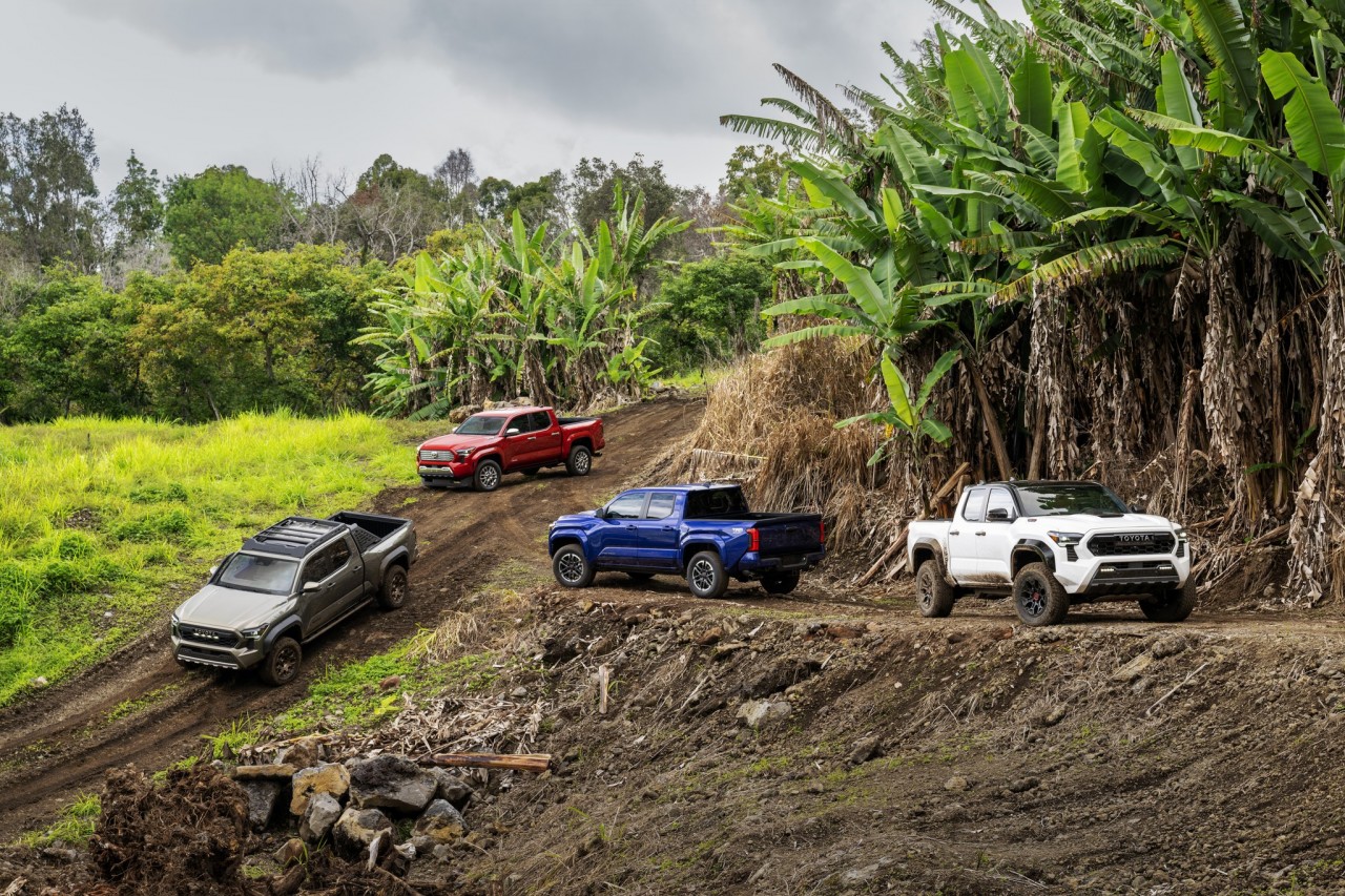 Toyota Tacoma 2024 chính thức trình làng