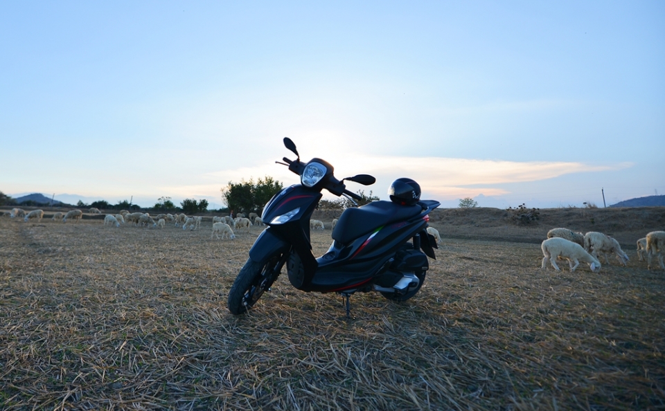 luot piaggio medley qua vung gio nhu phan nang nhu rang