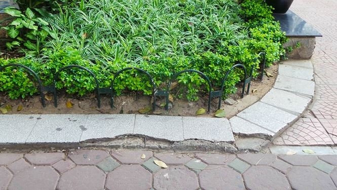 ha noi can canh chiec ao va hon 20 loai gach da duoc lat o ho guom