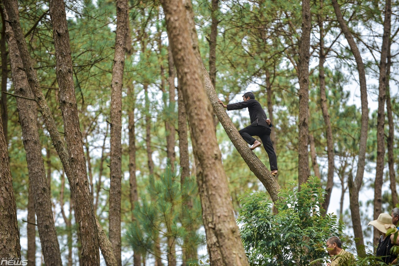 khoanh khac an tuong tu le hoi tinh than da