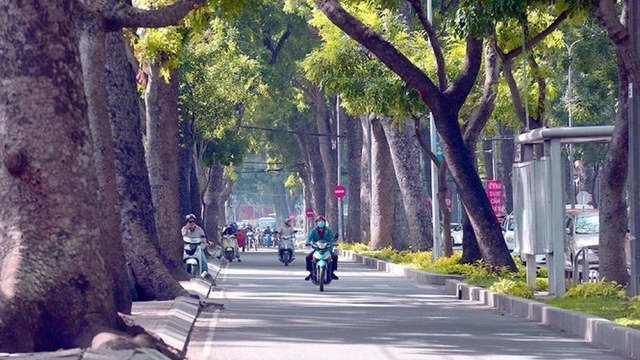 TP Hồ Chí Minh cấm đường nhiều phố trung tâm trong đêm giao thừa