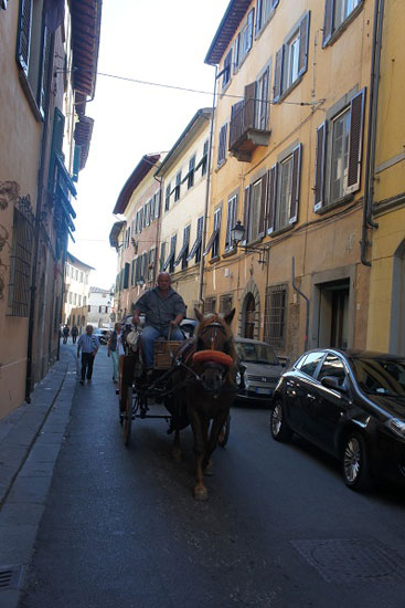 Thêm một loại phương tiện di chuyển nữa ở Pisa, là xe ngựa !