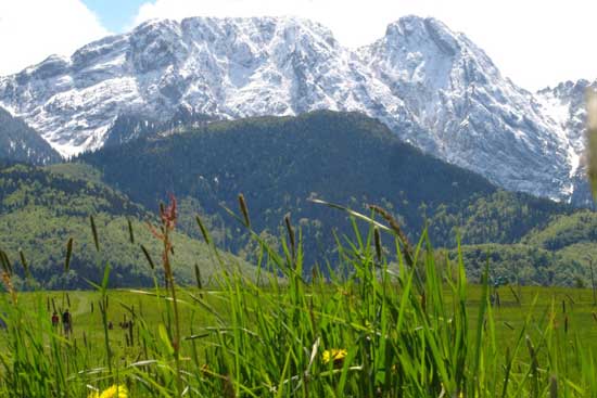 Tuyết không bao giờ tan hết, ngay cả vào ngày hè ở Zakopane