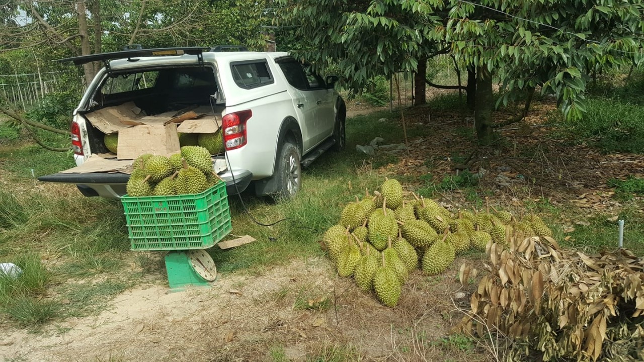 Nhớ lại cái "thuở ban đầu" đi mua xe ấy