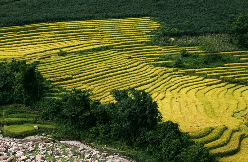 lai toyota land cruiser dao mot vong bat xat ngam mua lua chin