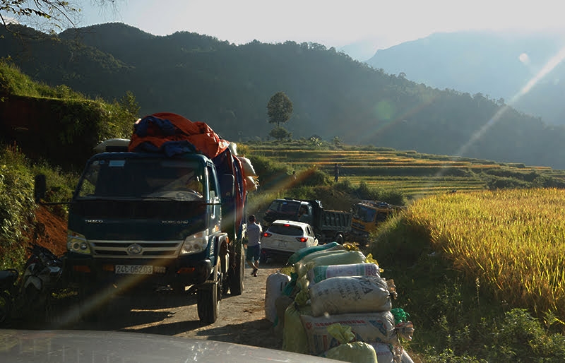 lai toyota land cruiser dao mot vong bat xat ngam mua lua chin