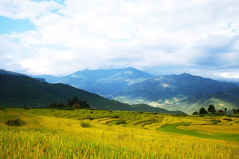 lai toyota land cruiser dao mot vong bat xat ngam mua lua chin