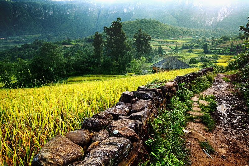 lai toyota land cruiser dao mot vong bat xat ngam mua lua chin