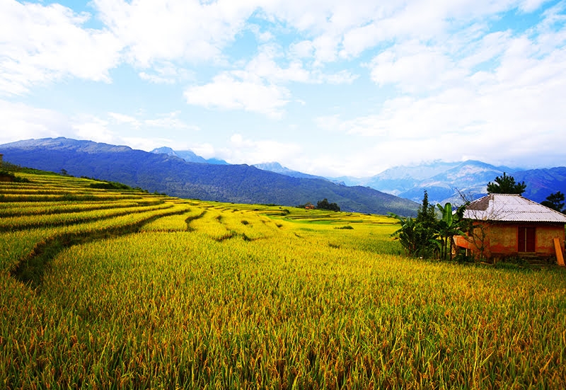 lai toyota land cruiser dao mot vong bat xat ngam mua lua chin