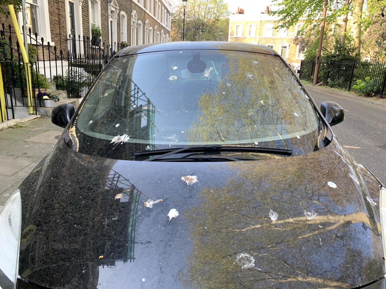 ford phat trien loai son o to chong phan chim