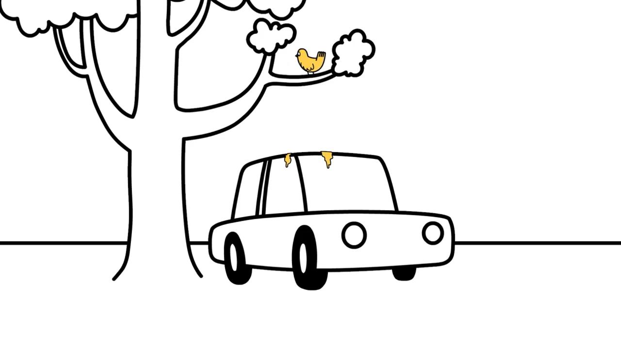 Ford phát triển loại sơn ô tô chống phân chim