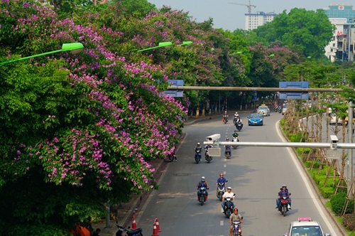 ha noi cam o to thu hep dai phan cach via he duong kim ma de lam metro