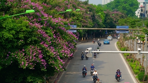 Hà Nội: Cấm ô tô, thu hẹp dải phân cách, vỉa hè đường Kim Mã để làm Metro