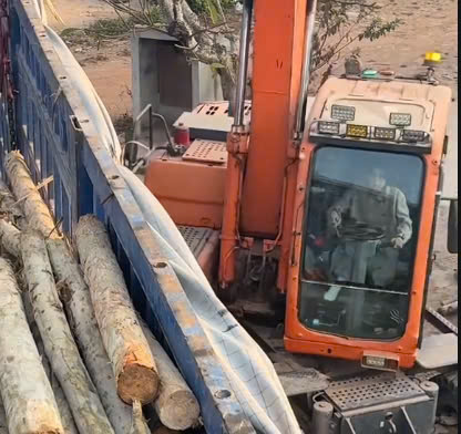 Cô gái Bắc Giang lái máy xúc