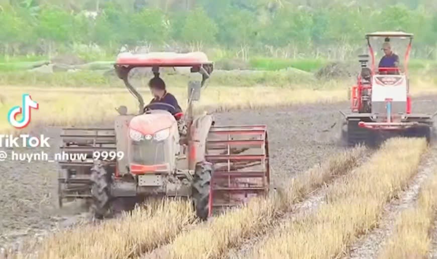 Cô gái 19 tuổi lái máy cày 2