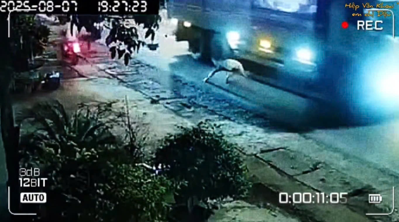 Tài xế xe tải phanh kịp, cứu người có ý định tự sát